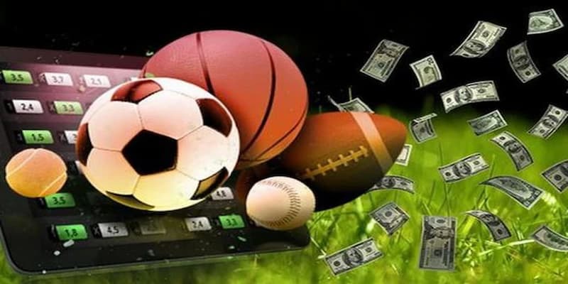 Minh họa nhiều môn thể thao cho hướng dẫn đọc sự kiện GO99